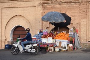 Viaje a Marrakech