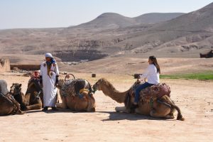 Tour por el desierto de Agafay